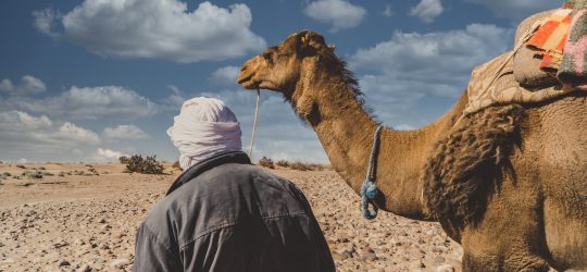 Touristic guides