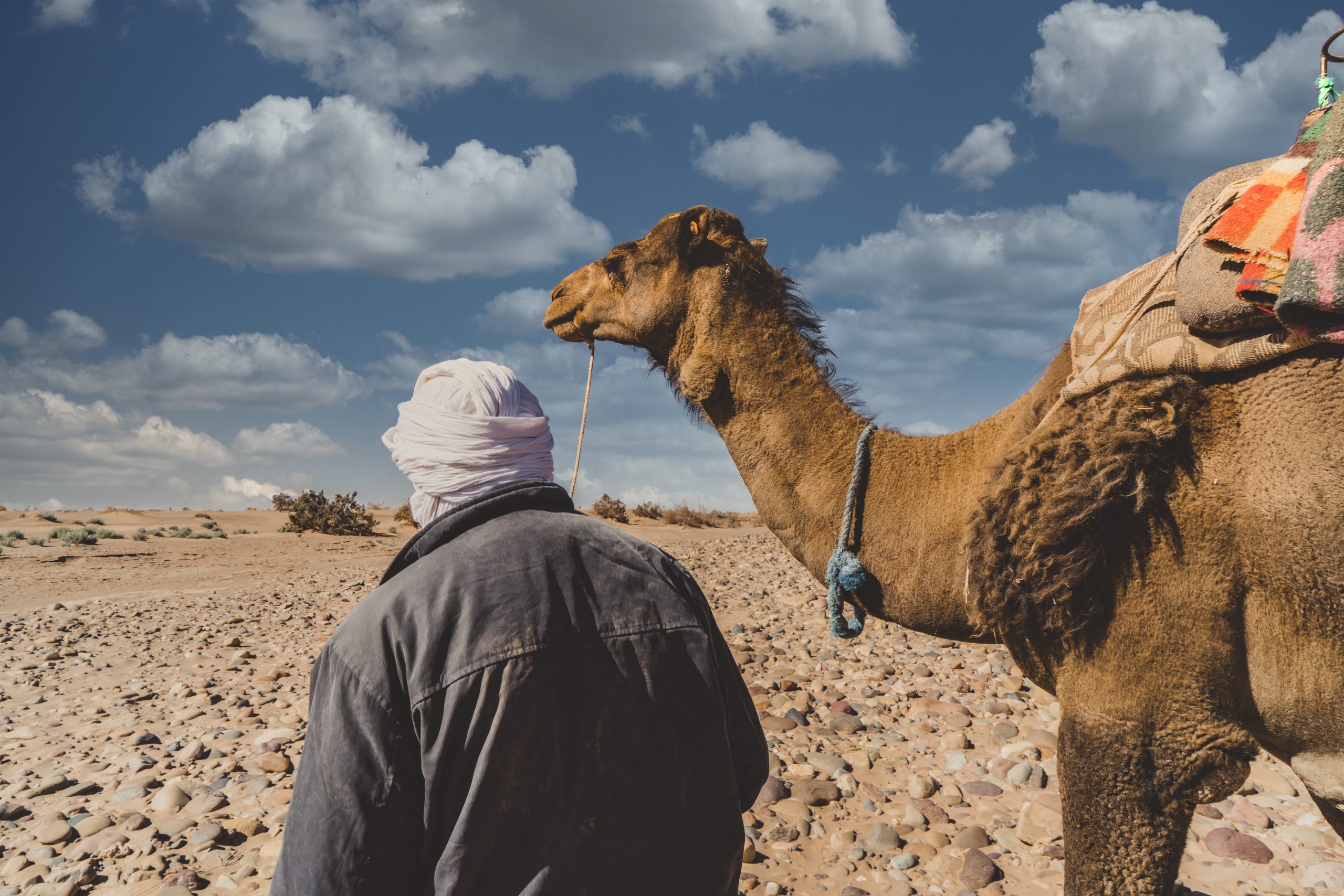 المرشدين السياحيين