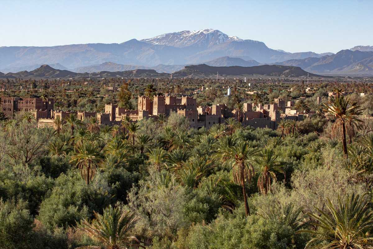 The Palm Grove of Skoura