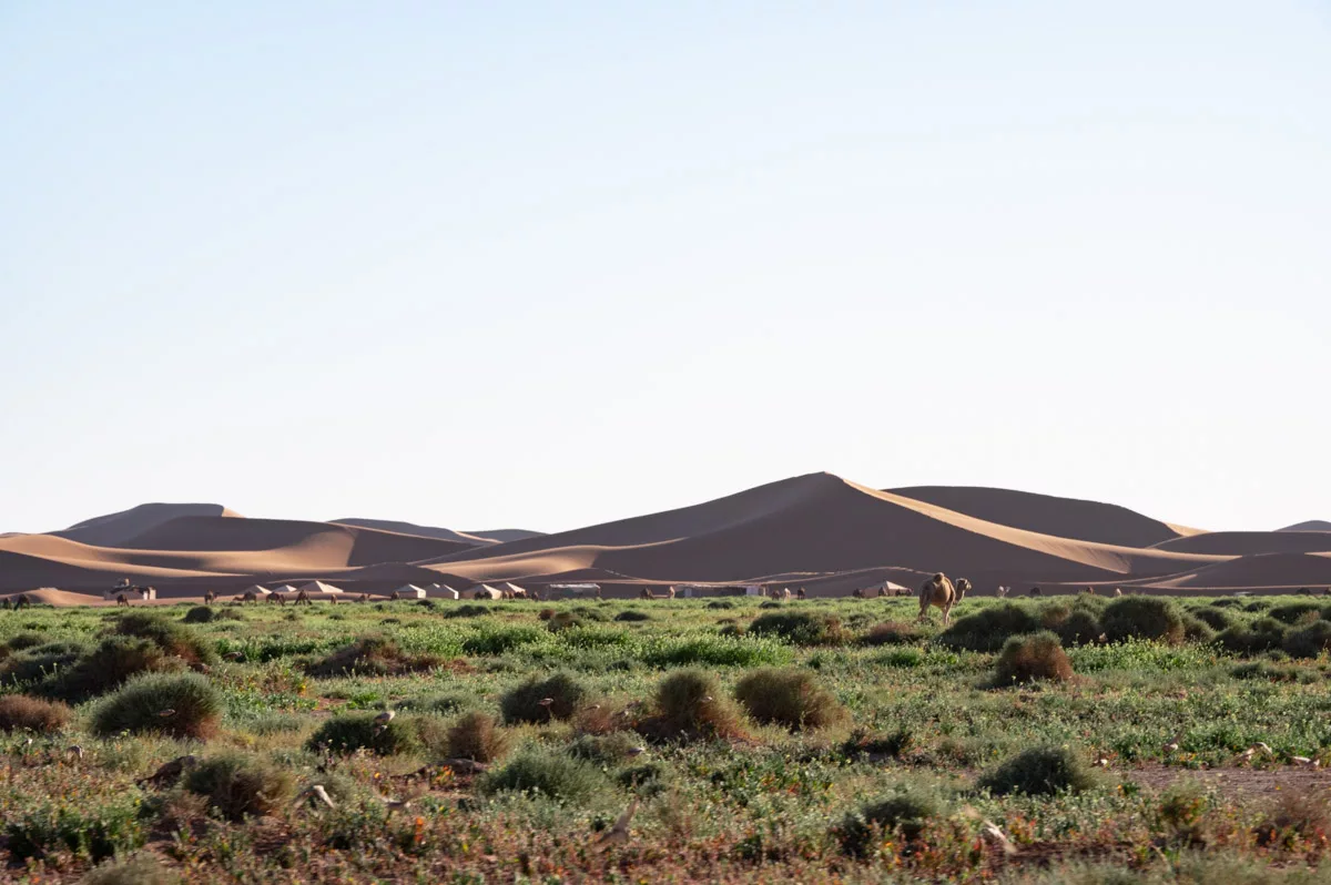 Iriqui’s National Park