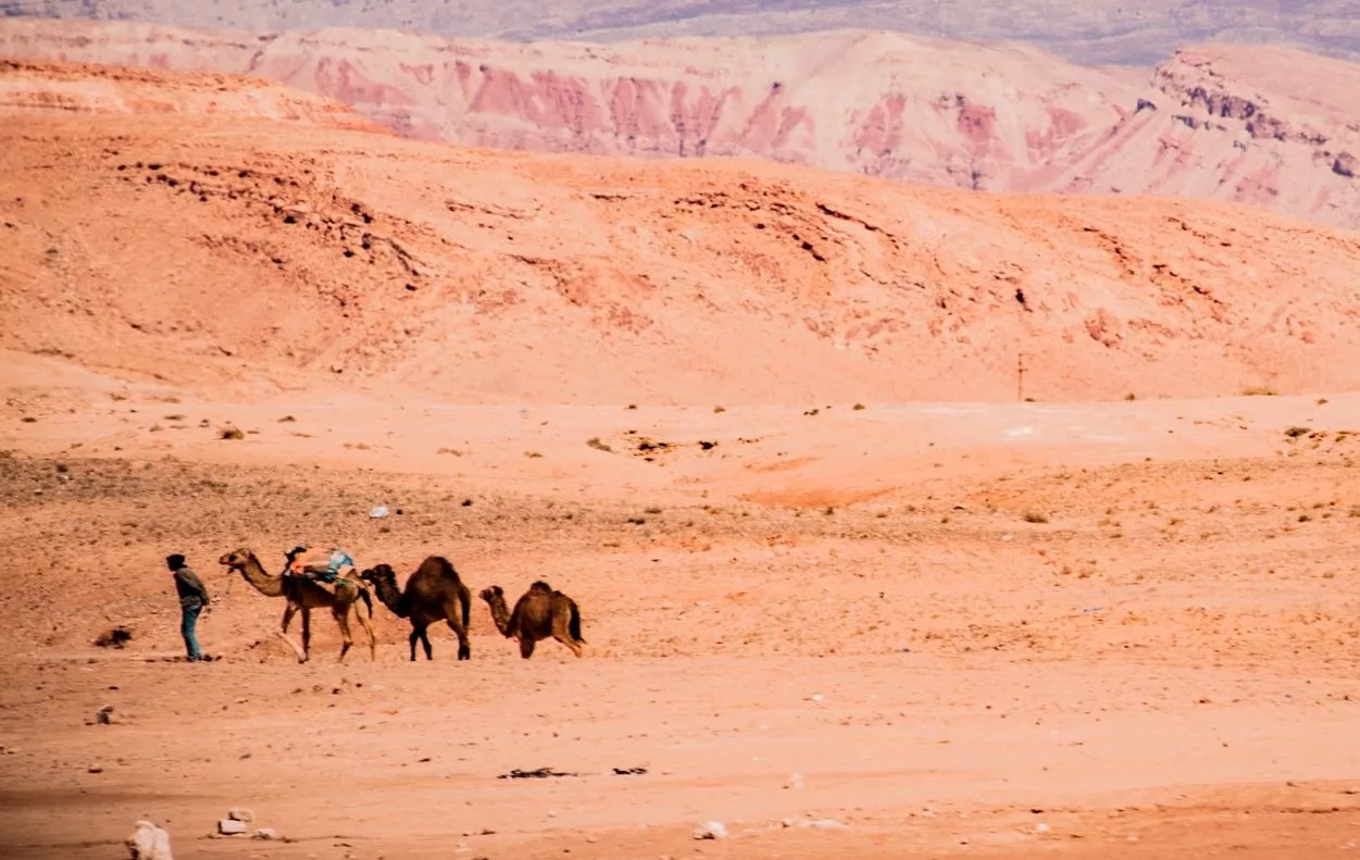 A la rencontre des derniers nomades de Drâa Tafilalet